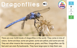 Insects Informational Passages Set 1 Boom Cards™ Distance Learning