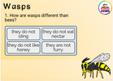 Insects Informational Passages Boom Cards™ Distance Learning Bundle