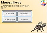 Insects Informational Passages Set 2 Boom Cards™ Distance Learning