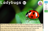 Insects Informational Passages Set 2 Boom Cards™ Distance Learning